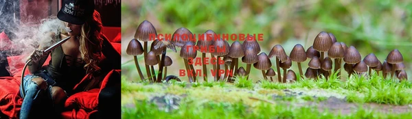 марки nbome Балабаново