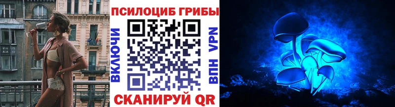 Псилоцибиновые грибы Psilocybine cubensis  Среднеколымск 